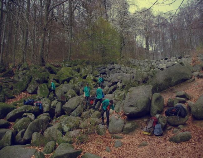 bild-osterfahrt2-forest